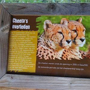 Cheetahs passed away sign (Oct 13th, 2018)