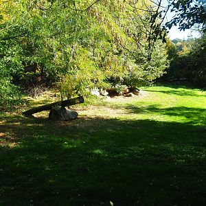 Former cheetah exhibit - Future African wild dog exhibit (Oct 13th, 2018)