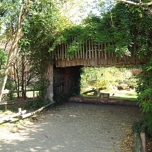 Former cheetah exhibit - Future African wild dog exhibit viewing area (Oct 13th, 2018)