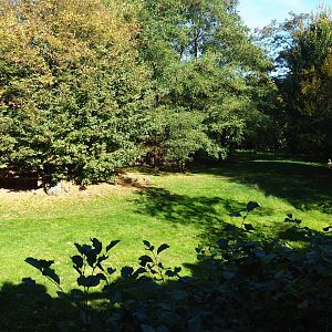 Former cheetah exhibit - Future African wild dog exhibit (Oct 13th, 2018)