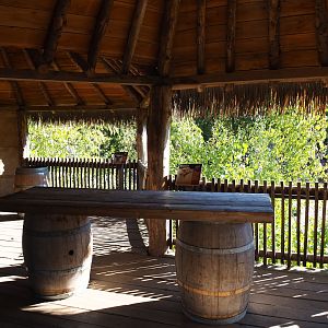 Savanna paddock viewing area (Oct 13th, 2018)