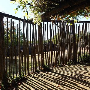 Savanna viewing area (Oct 13th, 2018)