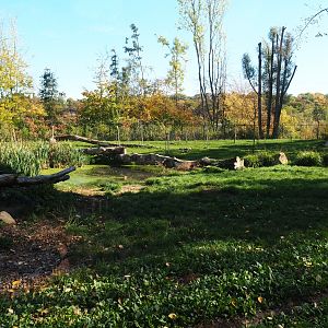 African hunting dog exhibit (Oct 13th, 2018)