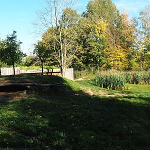 African hunting dog exhibit (Oct 13th, 2018)