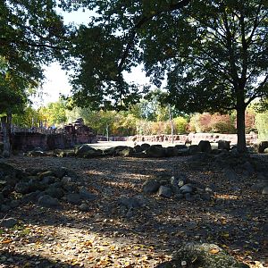 Rocky and foresty section of the savanna paddock (Oct 13th, 2018)