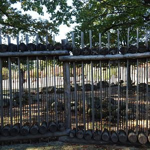 Savanna paddock viewing area (Oct 13th, 2018)
