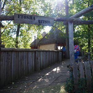 Access to Southern white rhinoceros - African wild dog viewing area (Oct 13th, 2018)