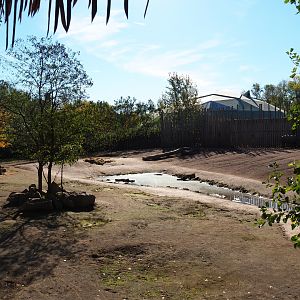 Southern white rhinoceros - Hartmann mountain zebra paddock (Oct 13th, 2018)