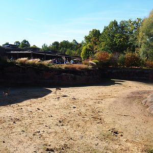 Savanna paddock (Oct 13th, 2018)