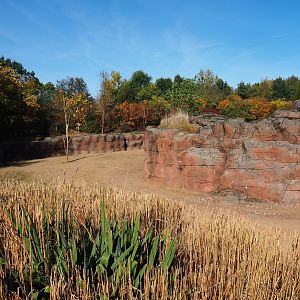 Savanna paddock (Oct 13th, 2018)