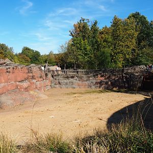 Savanna paddock (Oct 13th, 2018)