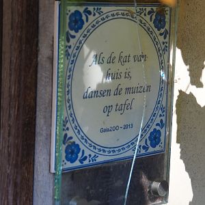 When the cat's away the mice will play sign (Oct 13th, 2018)