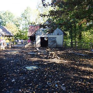 Livar pig pen (Oct 13th, 2018)