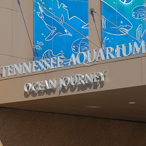 Ocean Journey - Exterior