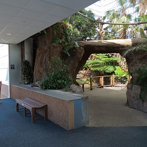 Lemur Forest - Entrance