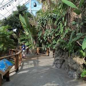 Lemur Forest - Walkway