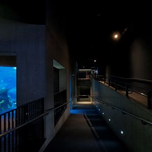 Secret Reef - Visitor Walkway Ramps
