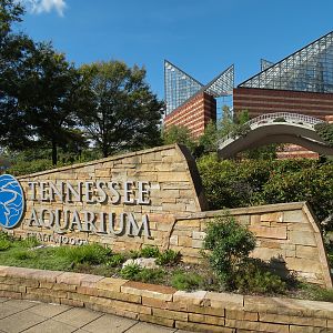 River Journey - Exterior Landscape Sign