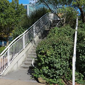 River Journey - Exterior Landscape and Bridge