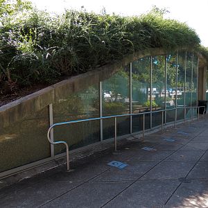 River Journey - Exterior Landscape