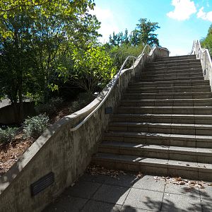 River Journey - Exterior Landscape and Bridge
