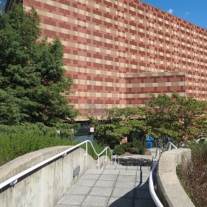 River Journey - Exterior Landscape and Bridge