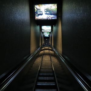 River Journey - Entry Escalator to Top Floor
