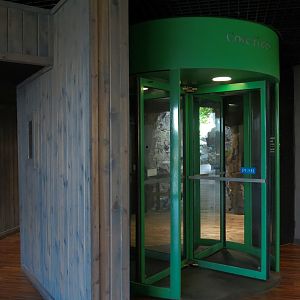 Appalachian Cove Forest - Lobby