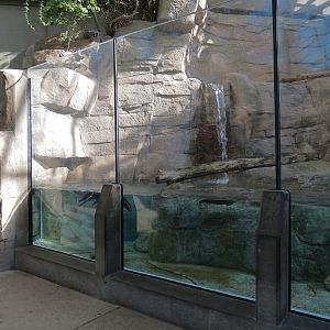 Appalachian Cove Forest - North American River Otter Exhibit