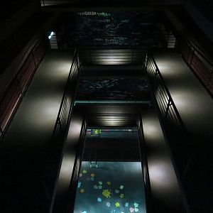 Canyon (central visitor lobby) - Top Floors