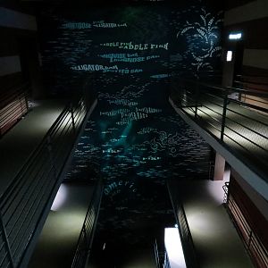 Canyon (central visitor lobby) - Top Floors