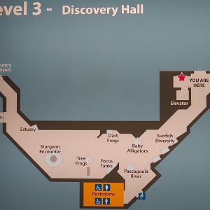 Discovery Hall - Map