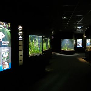 Discovery Hall - Hallway