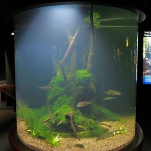 Discovery Hall - Pascagoula River Exhibit