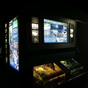 Discovery Hall - 2 Bottom Dwellers Exhibits