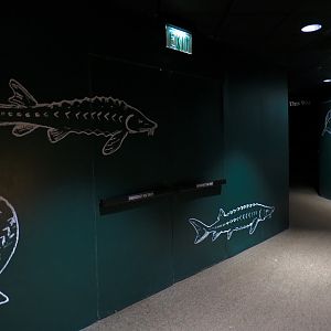 Discovery Hall - Hallway