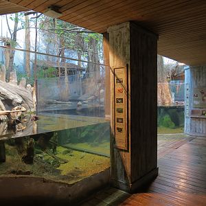 Mississippi Delta Country - Entry