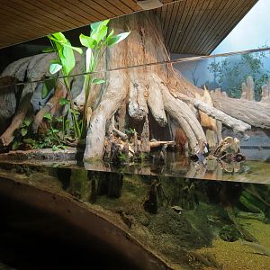 Mississippi Delta Country - Turtle Exhibit