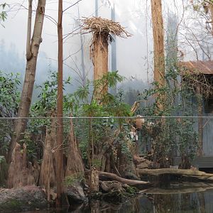 Mississippi Delta Country - Alligator Bank Exhibit