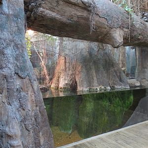 Mississippi Delta Country - Alligator Bank Exhibit