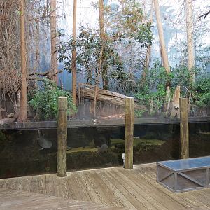 Mississippi Delta Country - Delta Swamp Exhibit
