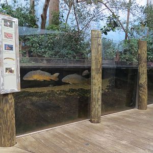Mississippi Delta Country - Delta Swamp Exhibit