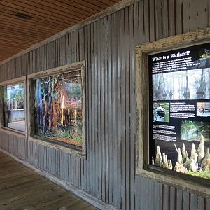 Mississippi Delta Country - Informational Graphics