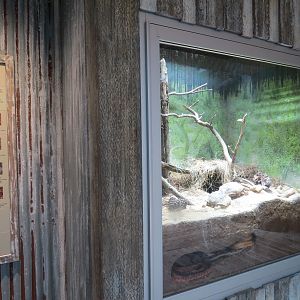 Mississippi Delta Country - Gopher Tortoise and Snakes Exhibit