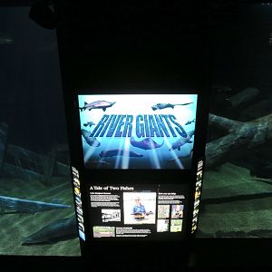 River Giants Exhibit