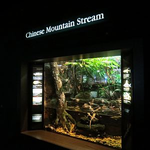 Rivers of the World - Chinese Mountain Stream Exhibit