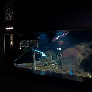 Rivers of the World - Volga River Exhibit