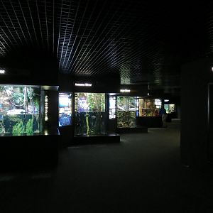 Rivers of the World - Exhibit Hall