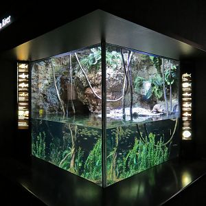 Rivers of the World - Amazon River Exhibit