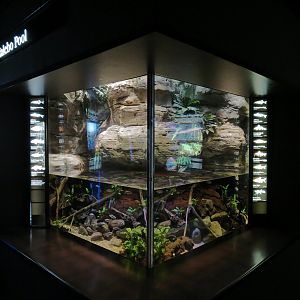 Rivers of the World - Malebo Pool Exhibit